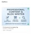 write professional content and blog posts