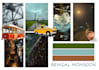 create a professional mood board and visual concept board