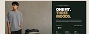 develop a professional responsive website
