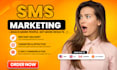 send bulk SMS marketing campaign, text message, SMS blast for your business