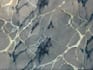 create professional 3d flex wallpaper design