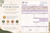 provide a personalized numerology reading in spanish