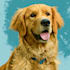 draw pet portrait into cartoon vector