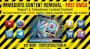delete,remove,takedown,content from,reddit,tiktok,facebook, google,youtube dmca