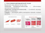 write and fill out documents, create spreadsheets in excel, and creating presen
