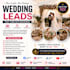 generate exclusive wedding leads, wedding facebook ads, wedding google ads