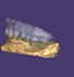 do exocad dental cad design