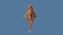 gameready 3d model fish and animals