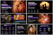 edit cinematic wedding videos, films, highlights and reels