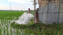 create authentic countryside videos for instagram reels