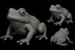 make any kind of 3d model