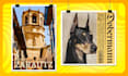design a custom poster for your project, event or occasion