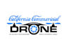 create a modern drone company logo
