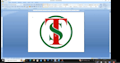 professional microsoft word excel and powerpoint tasks