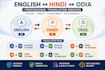 translate english hindi and odia professionally