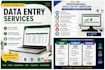 do accurate data entry and excel data formatting