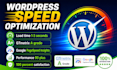 do speed up wordpress, do speed optimization and improve wordpress SEO
