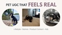 create dog ugc ads and product photos