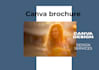design professional canva brochures and profisional profile