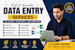 providies data entry services