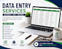 do professional data entry and copy paste