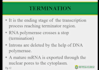 create professional powerpoint design