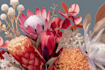 design best botanical illustration