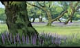 do 2d concept art and background illustrations