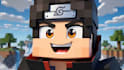 create professional minecraft animations