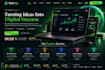 develop responsive website using wordpress, HTML CSS or shopify