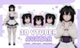 create a custom 3d vtuber avatar, vrm, vrchat model and rig