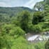 landscape and nature photography