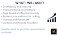 do a complete SEO website audit with an action plan