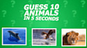create quiz, trivia questions youtube videos