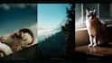 do edits for photos, professional colorgrade