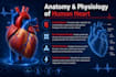 design professional medical presentation slides for doctors and students