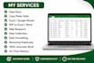 do excel data entry, formatting and spreadsheet cleanup