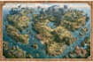 draw a map illustration for your project