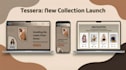 develop modern full stack web applications