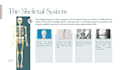 design medical and anatomy canva presentations