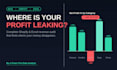 uncover shopify revenue leaks and analyze excel data