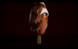 create amazing product, food and fluid animation