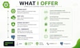 develop or fix your spring boot rest API