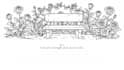 create a 30 day wellness coloring journal