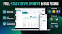 do custom web development and bug fixing