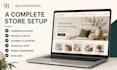 design or redesign a professional shopify ecommerce store
