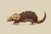create cute animal mascot illustrations