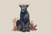 make cute animal illustration