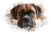digital watercolor pet portrait art