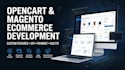 develop opencart ecommerce store with API integration, custom modules and ocmod